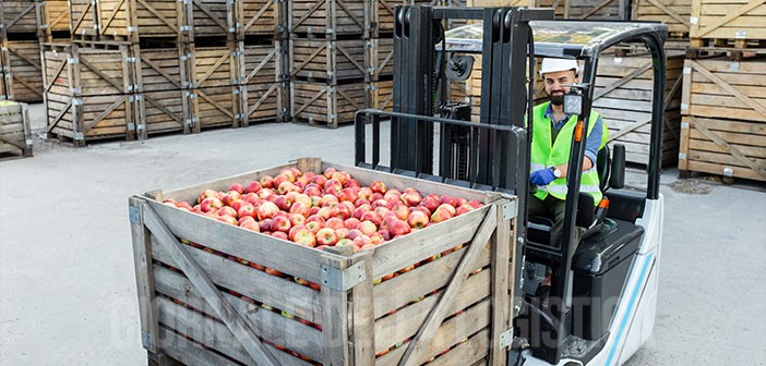 Fruit Logistica 2023: storie di ortofrutta vissuta